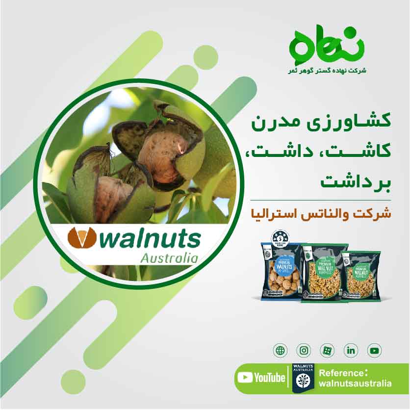 کشاورزی مدرن